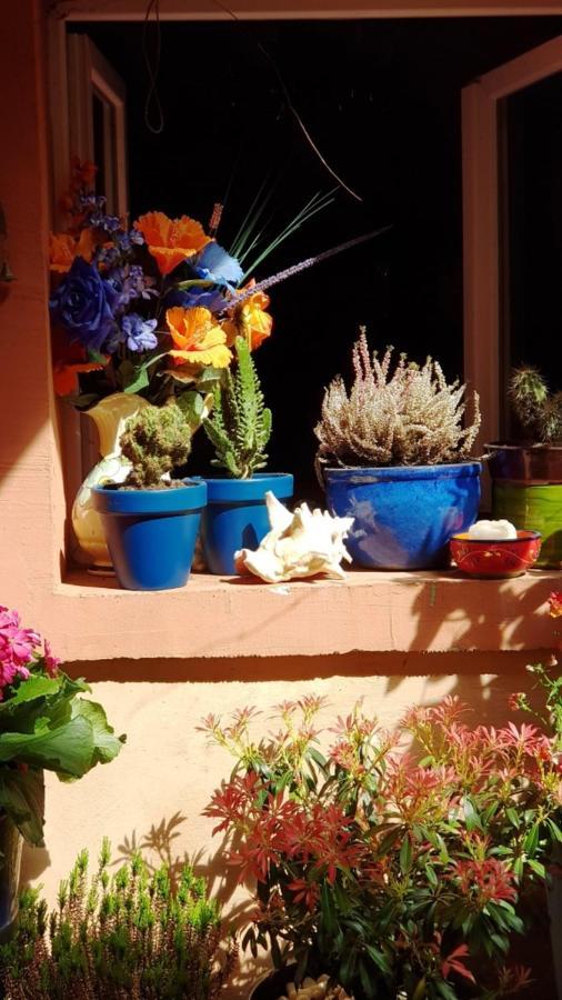 Petit Patio En Centre Ville نيم المظهر الخارجي الصورة
