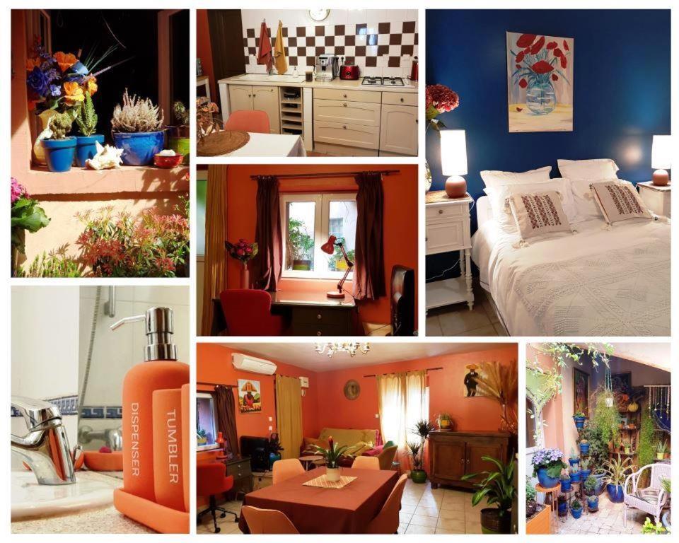 Petit Patio En Centre Ville نيم المظهر الخارجي الصورة